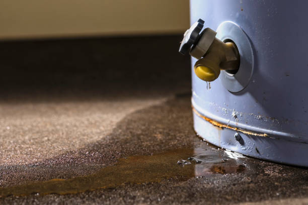 Best Commercial water damage restoration  in Daytona Beach Shores, FL