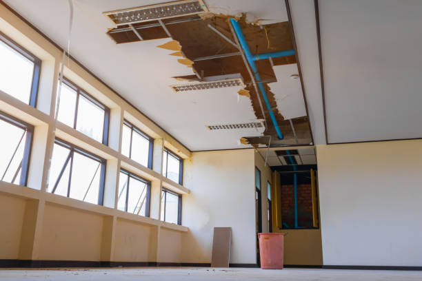 Best Water damage restoration near me  in Daytona Beach Shores, FL