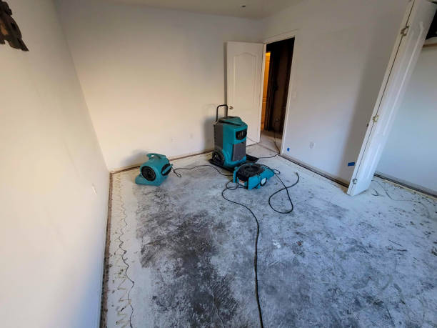 Best Fire Damage Restoration  in Daytona Beach Shores, FL