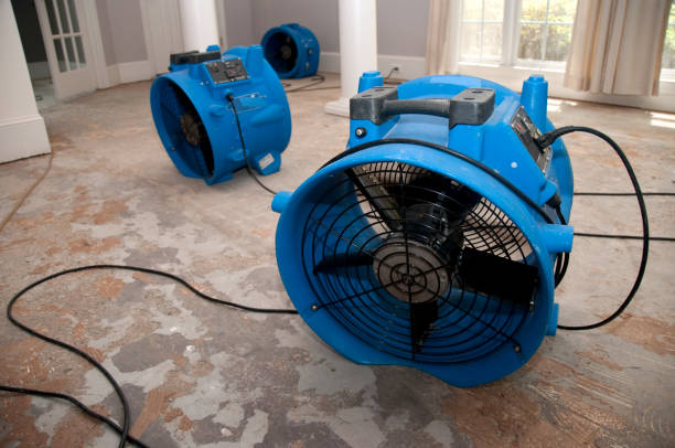 Best Flood restoration services  in Daytona Beach Shores, FL
