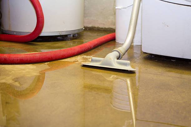Best Ceiling water damage repair  in Daytona Beach Shores, FL