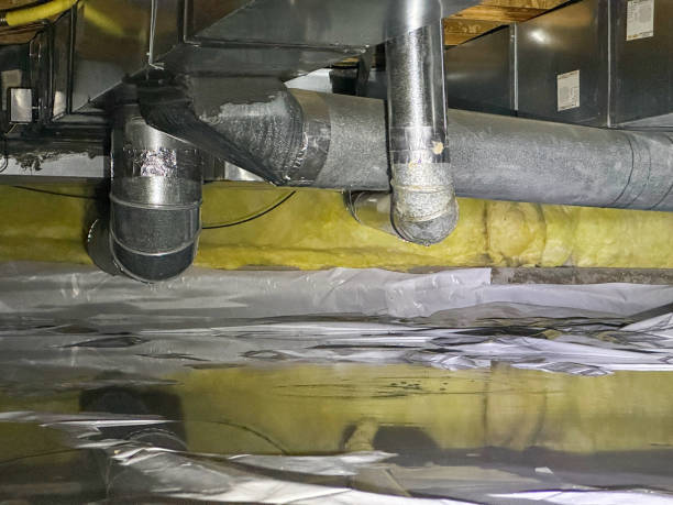 Best Local water damage restoration  in Daytona Beach Shores, FL